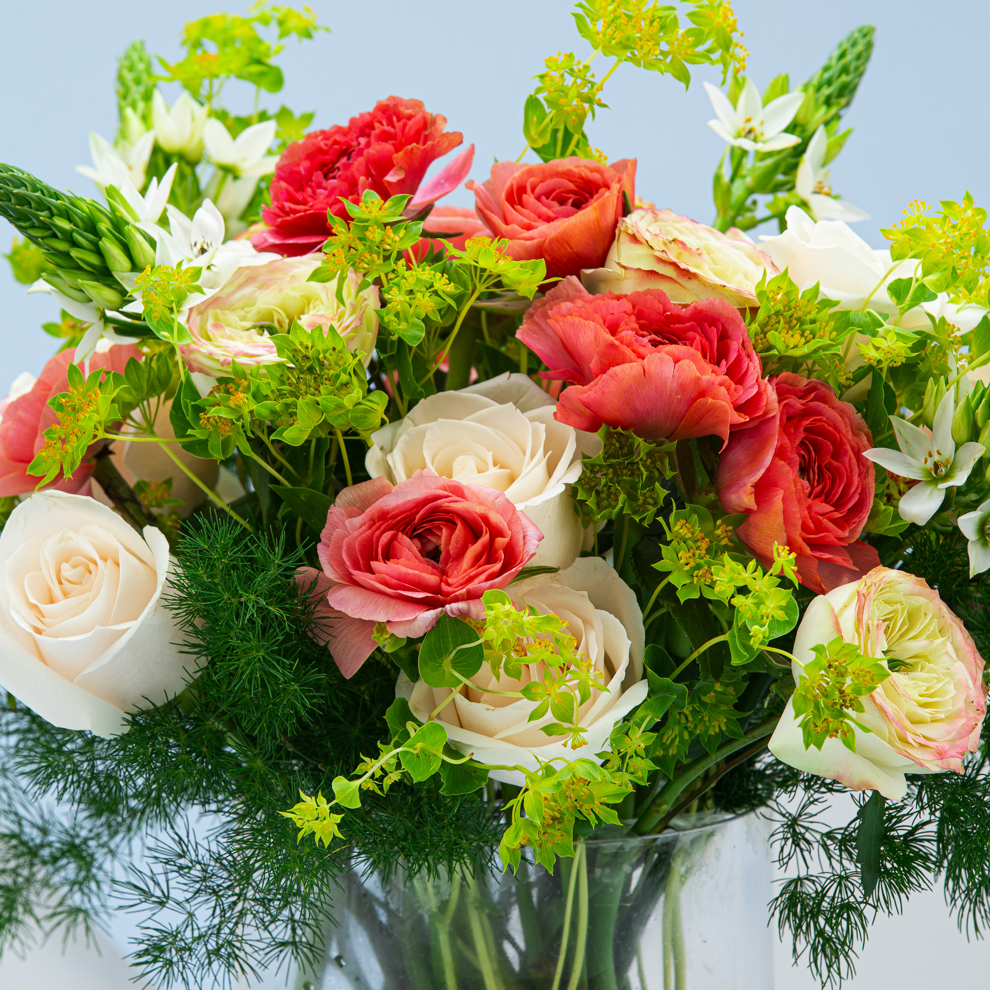 منى النعمان اطلب Rose,White,Pink,Green,Flowers,Baby Rose | توصيل ورد وهدايا نفس